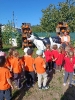 Tygryski na farmie Sołtysa 16.09.2026