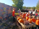 IMG-20260920-WA0068