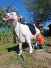 IMG-20260920-WA0101