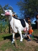 IMG-20260920-WA0105