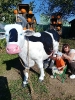 IMG-20260920-WA0111