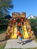 Tygryski na farmie Sołtysa 16.09.2026