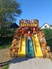 IMG-20260920-WA0113