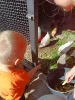 IMG-20260920-WA0123
