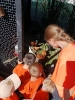 IMG-20260920-WA0126