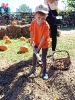 IMG-20260920-WA0137