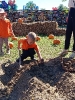IMG-20260920-WA0139