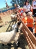 IMG-20260920-WA0160