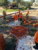 IMG-20260920-WA0168