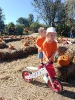 IMG-20260920-WA0172