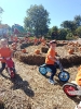 IMG-20260920-WA0175