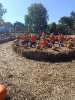 IMG-20260920-WA0177